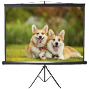 Projector screen hire